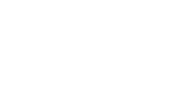 Blick